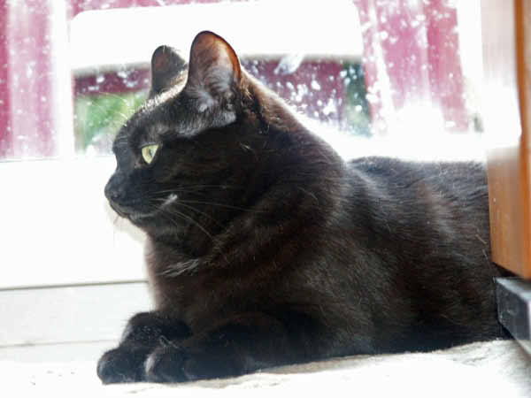 Bild 0211_bearbeitet